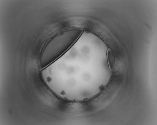 X0000113890409200910081812