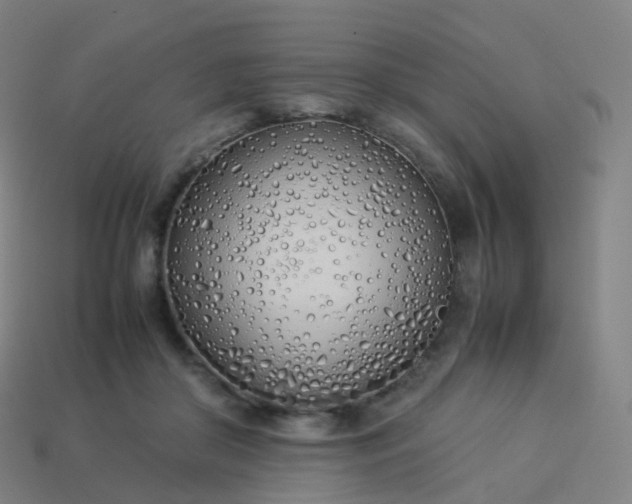 X0000113890410200910081812