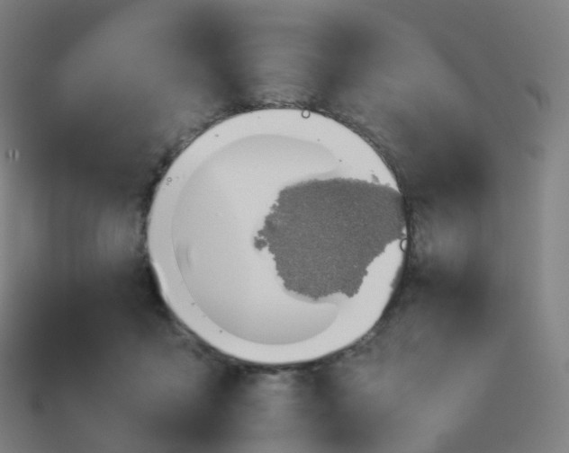 X0000113890411200910081812