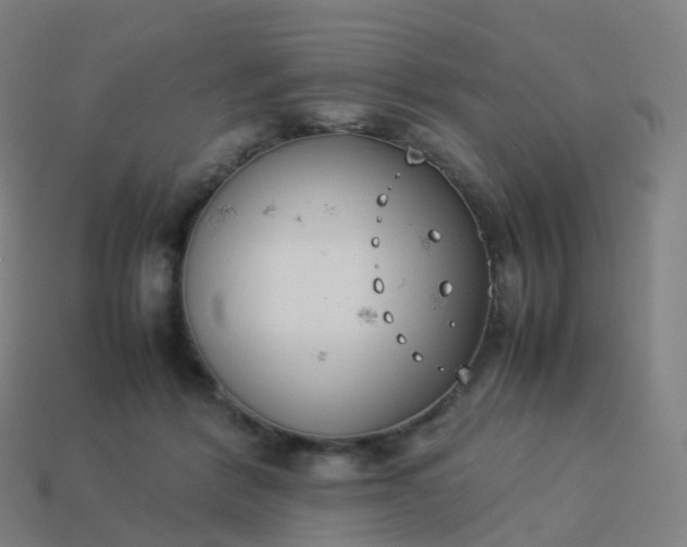 X0000113890412200910081812