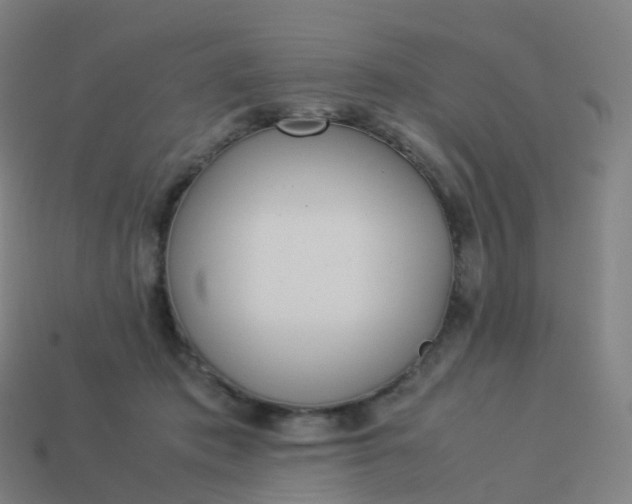 X0000113890413200910081812