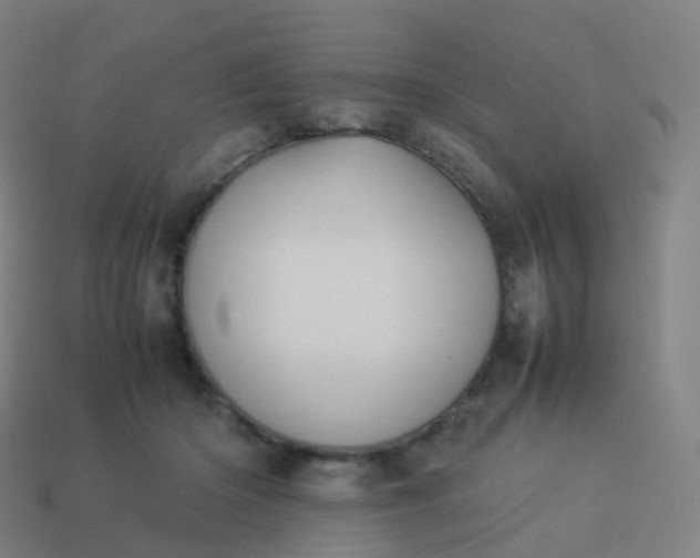 X0000113890414200910081812