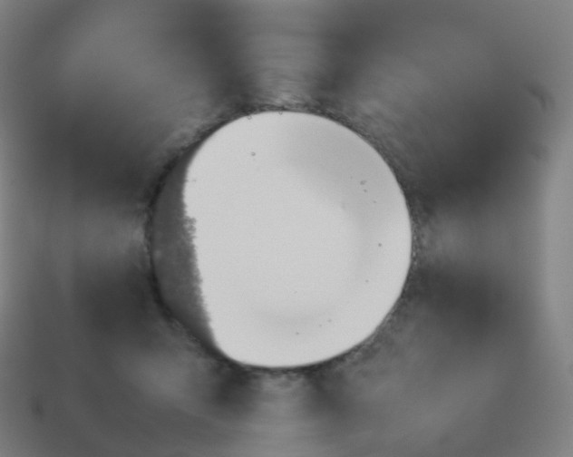 X0000113890415200910081812