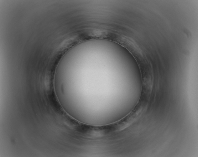 X0000113890416200910081812