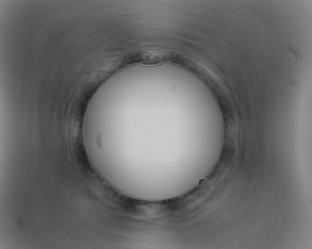 X0000113890417200910081812