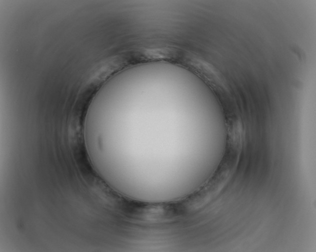 X0000113890418200910081812