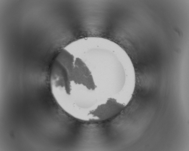 X0000113890419200910081812