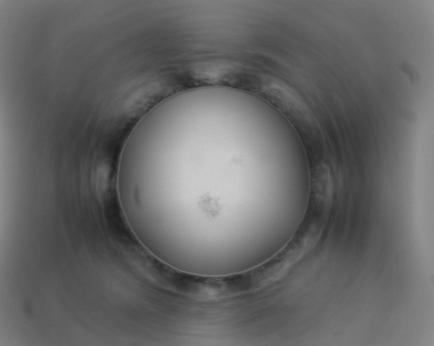 X0000113890420200910081812