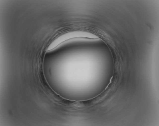 X0000113890421200910081812