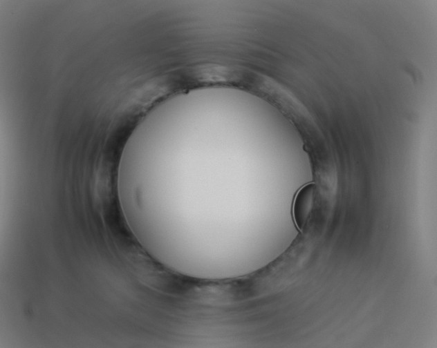 X0000113890422200910081812