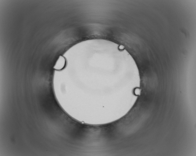 X0000113890423200910081812