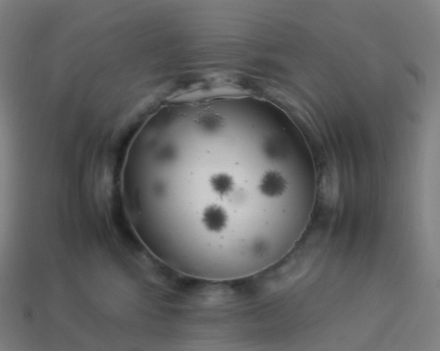 X0000113890424200910081812