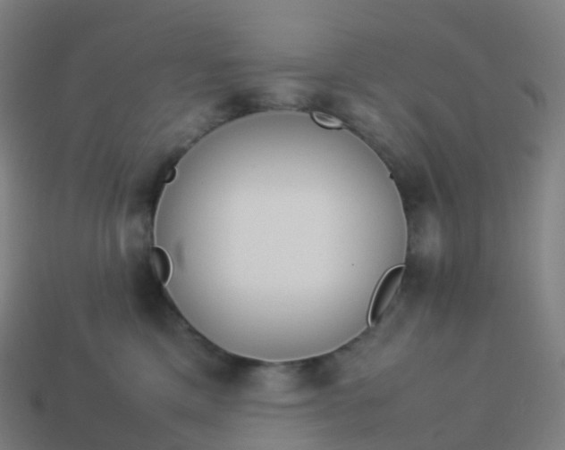 X0000113890425200910081812