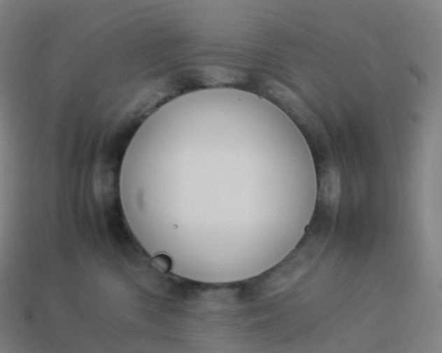 X0000113890426200910081812