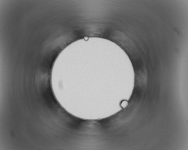 X0000113890427200910081812