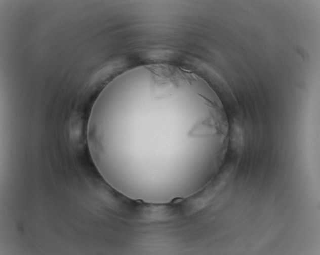 X0000113890428200910081812