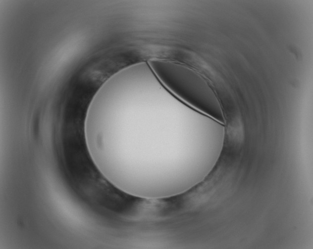 X0000113890429200910081812