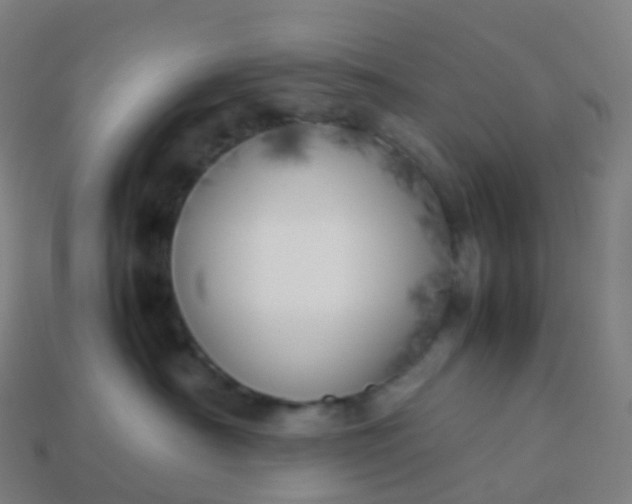 X0000113890430200910081812