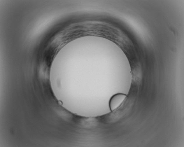 X0000113890431200910081812