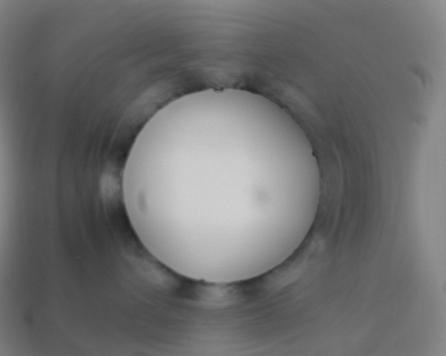 X0000113890432200910081812