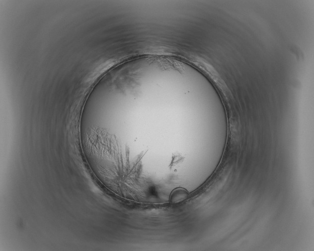 X0000113890433200910081811