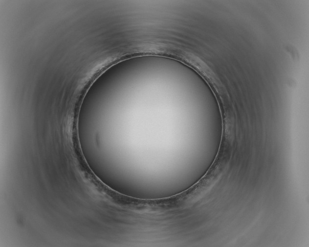 X0000113890434200910081811