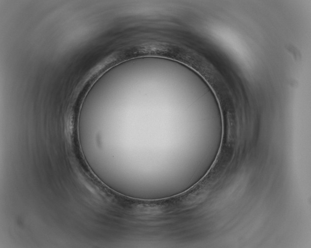 X0000113890435200910081811