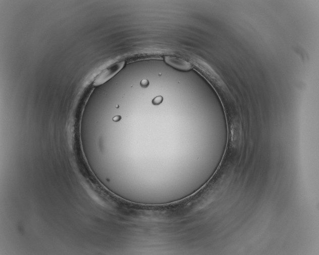 X0000113890436200910081811