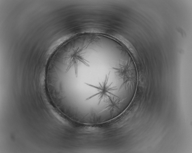 X0000113890437200910081811