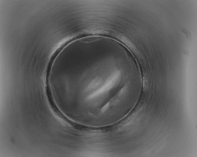 X0000113890438200910081811