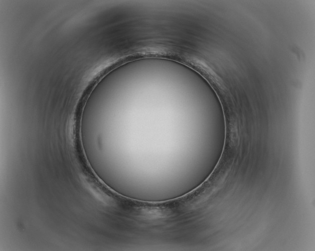 X0000113890439200910081811