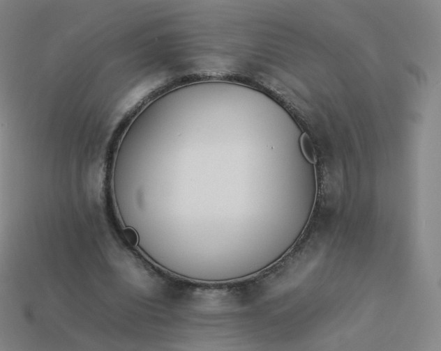 X0000113890440200910081811