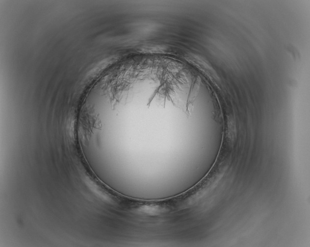 X0000113890441200910081812