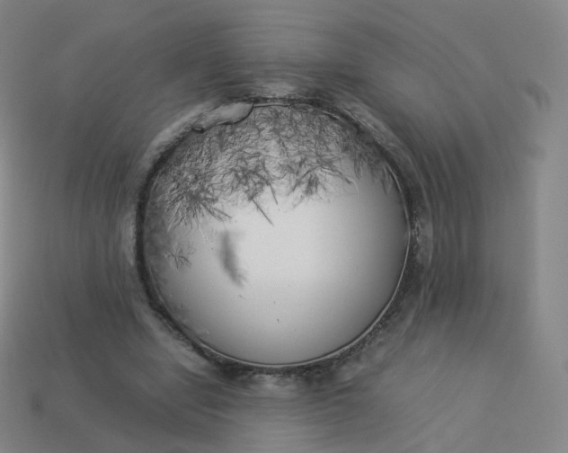 X0000113890442200910081812