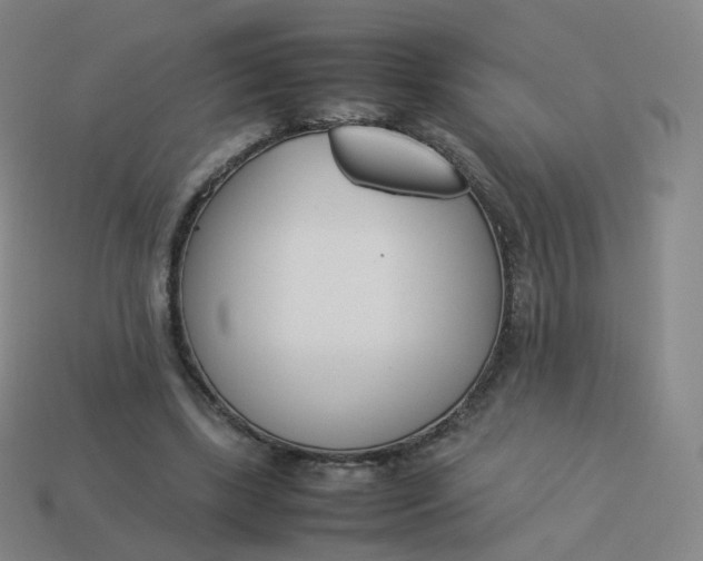 X0000113890443200910081812