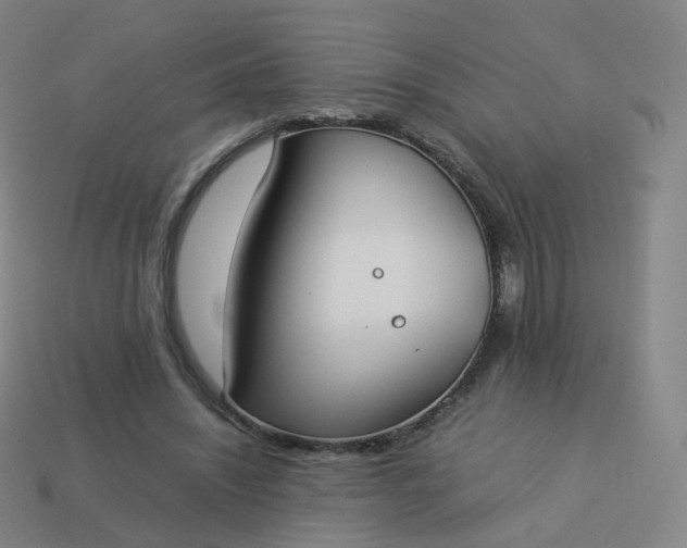 X0000113890444200910081812