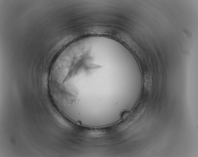 X0000113890445200910081812