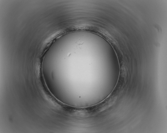 X0000113890446200910081812