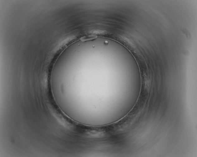 X0000113890447200910081812