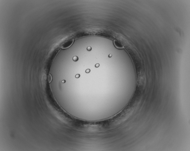 X0000113890448200910081812