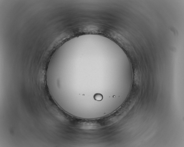 X0000113890449200910081812