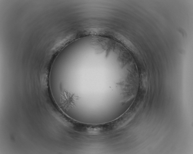 X0000113890450200910081812