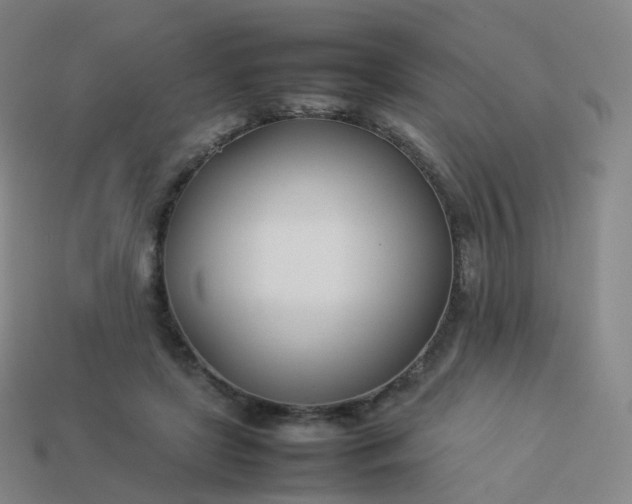 X0000113890451200910081812