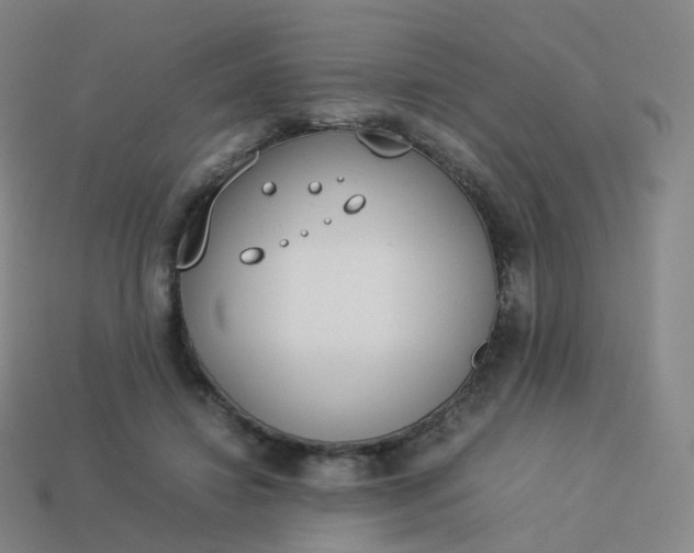 X0000113890452200910081812