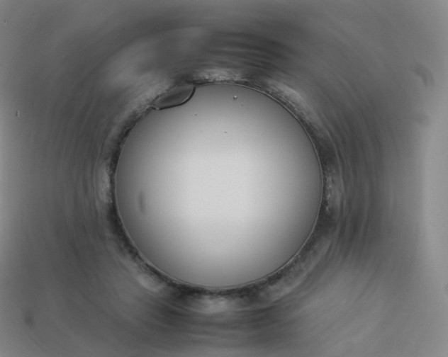 X0000113890453200910081812