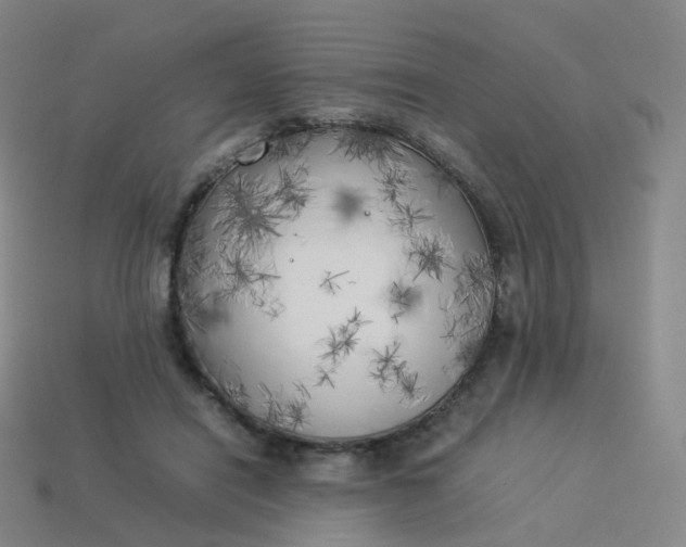 X0000113890454200910081812