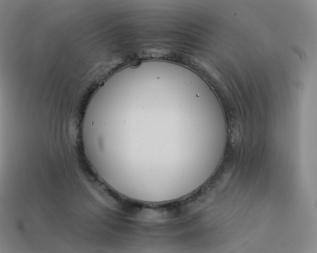 X0000113890455200910081812