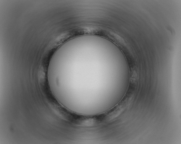 X0000113890456200910081812