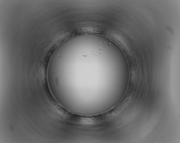 X0000113890457200910081812