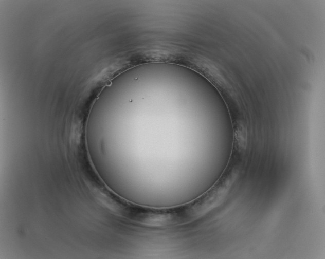 X0000113890458200910081812